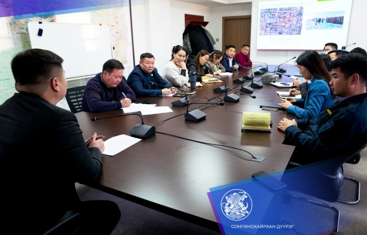 ХАЛИА ДОШИН ҮҮСЭЖ, НӨХЦӨЛ БАЙДАЛ ХҮНДЭРСЭН 8 АЙЛЫН ГАЗРЫГ ЧӨЛӨӨЛНӨ 